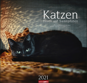Katzen – Diven auf Samtpfoten Kalender 2021 von Weingarten