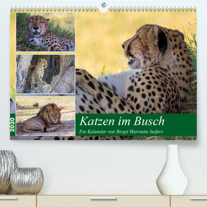 Katzen im Busch (Premium, hochwertiger DIN A2 Wandkalender 2020, Kunstdruck in Hochglanz) von Harriette Seifert,  Birgit
