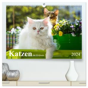 Katzen im Grünen (hochwertiger Premium Wandkalender 2024 DIN A2 quer), Kunstdruck in Hochglanz von Dzierzawa,  Judith