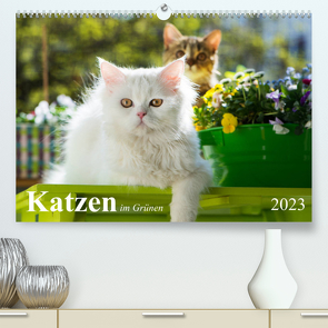 Katzen im Grünen (Premium, hochwertiger DIN A2 Wandkalender 2023, Kunstdruck in Hochglanz) von Dzierzawa,  Judith