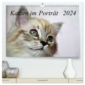 Katzen im Porträt / Geburtstagskalender (hochwertiger Premium Wandkalender 2024 DIN A2 quer), Kunstdruck in Hochglanz von Chrystal,  Jennifer