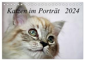 Katzen im Porträt / Geburtstagskalender (Tischkalender 2024 DIN A5 quer), CALVENDO Monatskalender von Chrystal,  Jennifer