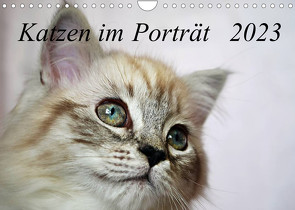 Katzen im Porträt / Geburtstagskalender (Wandkalender 2023 DIN A4 quer) von Chrystal,  Jennifer
