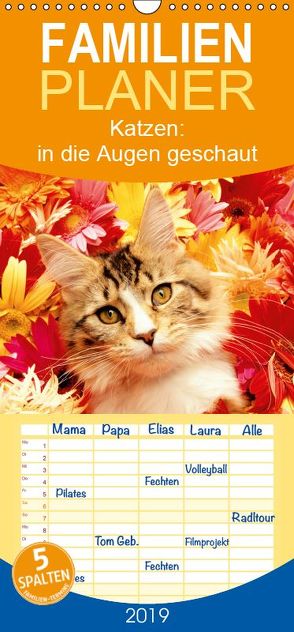 Katzen: in die Augen geschaut – Familienplaner hoch (Wandkalender 2019 , 21 cm x 45 cm, hoch) von CALVENDO