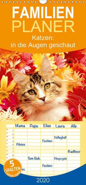 Katzen: in die Augen geschaut – Familienplaner hoch (Wandkalender 2020 , 21 cm x 45 cm, hoch) von CALVENDO