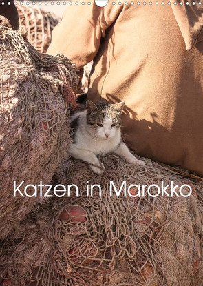 Katzen in Marokko (Wandkalender 2022 DIN A3 hoch) von Klein + Andreas Lauermann,  Anja