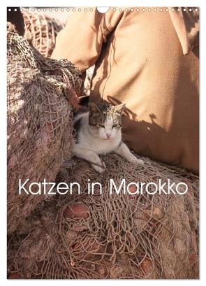 Katzen in Marokko (Wandkalender 2024 DIN A3 hoch), CALVENDO Monatskalender von Klein + Andreas Lauermann,  Anja