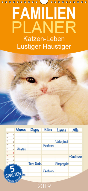 Katzen-Leben: Lustiger Haustiger – Familienplaner hoch (Wandkalender 2019 , 21 cm x 45 cm, hoch) von CALVENDO