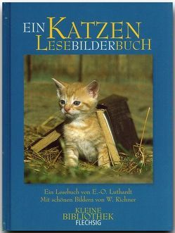 Katzen LeseBilderBuch von Luthardt,  Ernst O, Richner,  Werner