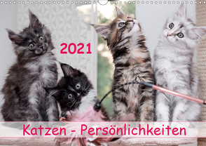 Katzen Persönlichkeiten 2021 (Wandkalender 2021 DIN A3 quer) von Rüberg,  Patrick