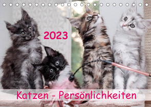 Katzen Persönlichkeiten 2023 (Tischkalender 2023 DIN A5 quer) von Rüberg,  Patrick
