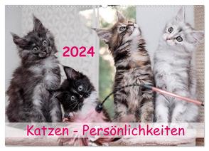 Katzen Persönlichkeiten 2024 (Wandkalender 2024 DIN A2 quer), CALVENDO Monatskalender von Rüberg,  Patrick