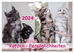 Katzen Persönlichkeiten 2024 (Wandkalender 2024 DIN A4 quer), CALVENDO Monatskalender von Rüberg,  Patrick