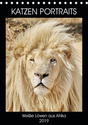 KATZEN PORTRAITS Weiße Löwen aus Afrika (Tischkalender 2019 DIN A5 hoch) von N.,  N.