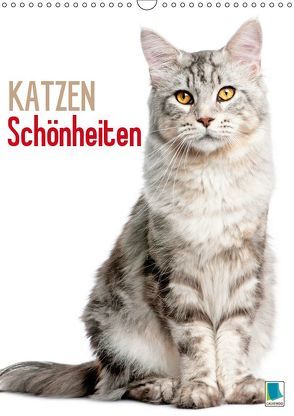 Katzen-Schönheiten (Wandkalender 2019 DIN A3 hoch) von CALVENDO