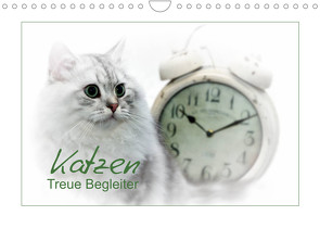 Katzen – Treue Begleiter (CH – Version) (Wandkalender 2023 DIN A4 quer) von Viola,  Melanie