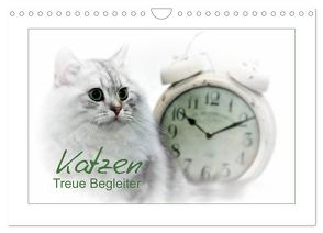 Katzen – Treue Begleiter (CH – Version) (Wandkalender 2024 DIN A4 quer), CALVENDO Monatskalender von Viola,  Melanie