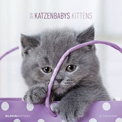 Katzenbabys 2019 von ALPHA EDITION, Rath,  Sabine
