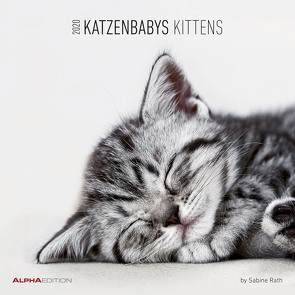 Katzenbabys 2020 – Kittens – Wandkalender – Broschürenkalender (30 x 60 geöffnet) – Tierkalender – Wandplaner von ALPHA EDITION, Rath,  Sabine