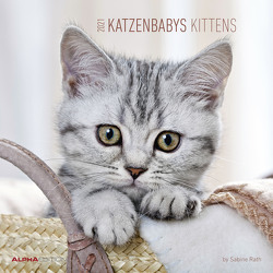 Katzenbabys 2021 – Broschürenkalender 30×30 cm (30×60 geöffnet) – Kittens – Bild-Kalender – Wandplaner – mit Platz für Notizen – Alpha Edition