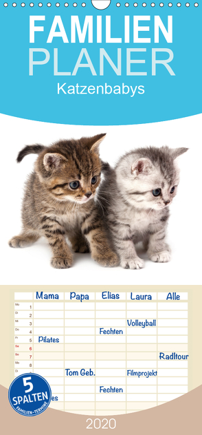 Katzenbabys – Familienplaner hoch (Wandkalender 2020 , 21 cm x 45 cm, hoch) von Hesch-Foto