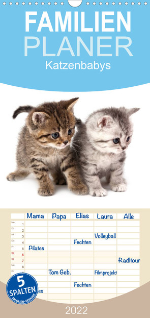 Familienplaner Katzenbabys (Wandkalender 2022 , 21 cm x 45 cm, hoch) von Hesch-Foto