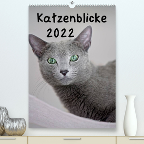 Katzenblicke 2022 (Premium, hochwertiger DIN A2 Wandkalender 2022, Kunstdruck in Hochglanz) von Bollich,  Heidi