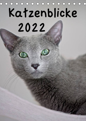 Katzenblicke 2022 (Tischkalender 2022 DIN A5 hoch) von Bollich,  Heidi