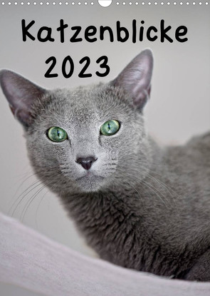 Katzenblicke 2023 (Wandkalender 2023 DIN A3 hoch) von Bollich,  Heidi