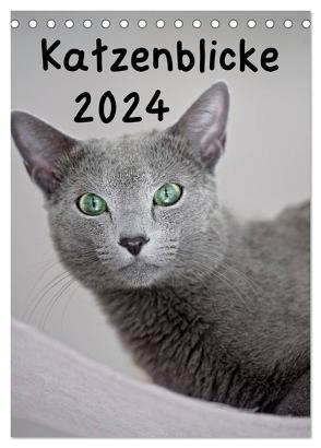 Katzenblicke 2024 (Tischkalender 2024 DIN A5 hoch), CALVENDO Monatskalender von Bollich,  Heidi