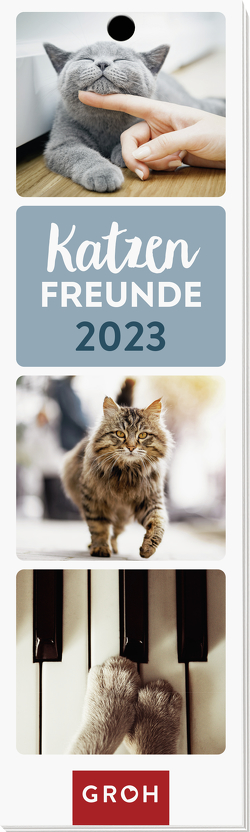 Katzenfreunde 2023 von Groh Verlag