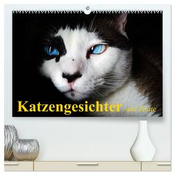 Katzengesichter und Zitate (hochwertiger Premium Wandkalender 2024 DIN A2 quer), Kunstdruck in Hochglanz von Stanzer,  Elisabeth