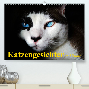 Katzengesichter und Zitate (Premium, hochwertiger DIN A2 Wandkalender 2022, Kunstdruck in Hochglanz) von Stanzer,  Elisabeth