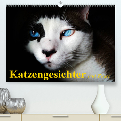 Katzengesichter und Zitate (Premium, hochwertiger DIN A2 Wandkalender 2023, Kunstdruck in Hochglanz) von Stanzer,  Elisabeth