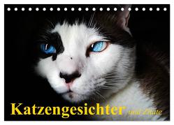 Katzengesichter und Zitate (Tischkalender 2024 DIN A5 quer), CALVENDO Monatskalender von Stanzer,  Elisabeth