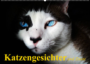 Katzengesichter und Zitate (Wandkalender 2022 DIN A2 quer) von Stanzer,  Elisabeth