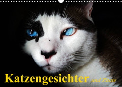 Katzengesichter und Zitate (Wandkalender 2023 DIN A3 quer) von Stanzer,  Elisabeth