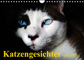 Katzengesichter und Zitate (Wandkalender 2023 DIN A4 quer) von Stanzer,  Elisabeth