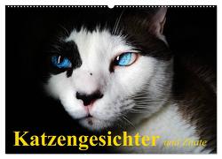 Katzengesichter und Zitate (Wandkalender 2024 DIN A2 quer), CALVENDO Monatskalender von Stanzer,  Elisabeth