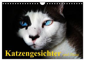 Katzengesichter und Zitate (Wandkalender 2024 DIN A4 quer), CALVENDO Monatskalender von Stanzer,  Elisabeth