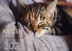 Katzenkalender 2023 von Kamps,  Jenny