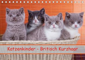 Katzenkinder Britisch Kurzhaar (Tischkalender 2020 DIN A5 quer) von Wejat-Zaretzke,  Gabriela