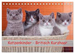 Katzenkinder Britisch Kurzhaar (Tischkalender 2024 DIN A5 quer), CALVENDO Monatskalender von Wejat-Zaretzke,  Gabriela