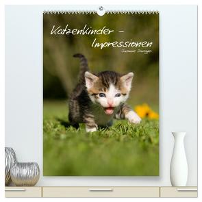 Katzenkinder – Impressionen (hochwertiger Premium Wandkalender 2024 DIN A2 hoch), Kunstdruck in Hochglanz von Danegger,  Susanne