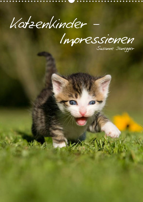 Katzenkinder – Impressionen (Wandkalender 2023 DIN A2 hoch) von Danegger,  Susanne