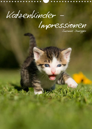 Katzenkinder – Impressionen (Wandkalender 2023 DIN A3 hoch) von Danegger,  Susanne