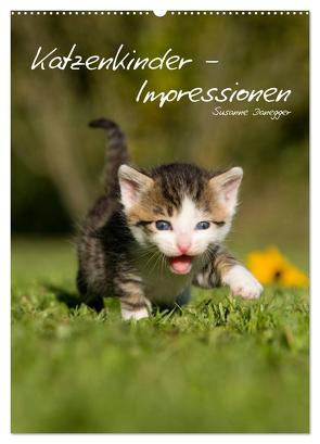 Katzenkinder – Impressionen (Wandkalender 2024 DIN A2 hoch), CALVENDO Monatskalender von Danegger,  Susanne