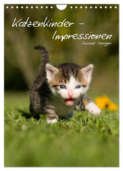 Katzenkinder – Impressionen (Wandkalender 2024 DIN A4 hoch), CALVENDO Monatskalender von Danegger,  Susanne
