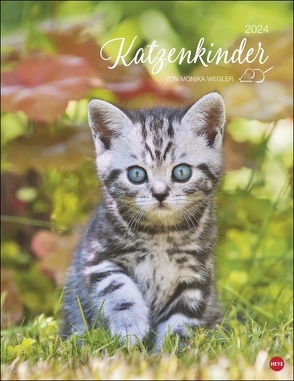 Katzenkinder Posterkalender 2024 von Monika Wegler
