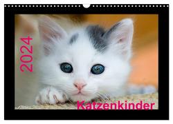 Katzenkinder (Wandkalender 2024 DIN A3 quer), CALVENDO Monatskalender von Weirauch,  Michael